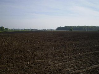 46 Acres (30 tillable).  1600' of Frontage along I-69.  (Average daily volume of 35,780).  Additional frontage on CR 1000 W and CR 650 N.  Excellent billboard/cell tower possibilities.  Will divide. - 46 Acres Quality Farmland